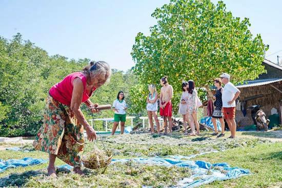 seaweed farm in lembongan island, lembongan beach